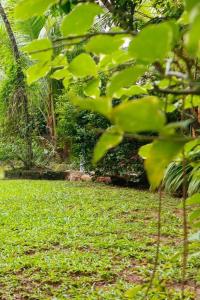 Sathsara Villa Rooms
