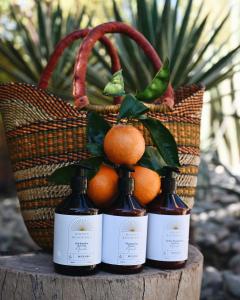 Maison Kenoosha Boutique Hotel & Spa