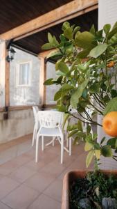 La casa del tulipano