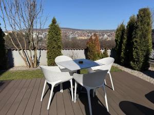 Pensiunea Panorama Business Inn