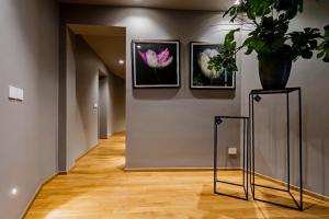 Elegant parquet in the Center Metro & Highway