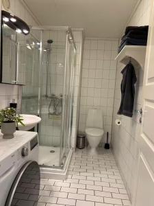 Bright and modern 2-room apartment in Ryen