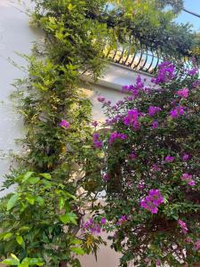 Numeroquattro- Light blue appartamento in Villa con giardino e piscina