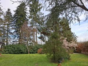 Cottage Les Séquoias de lOust