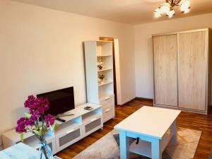 Joy City Stay Martir Miroslav 15