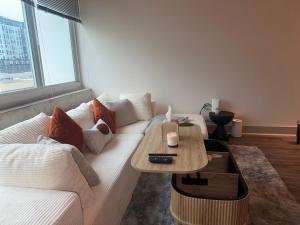 Luxury High Rise Downtown 1BR Apartment