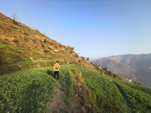 Corn Village Retreat