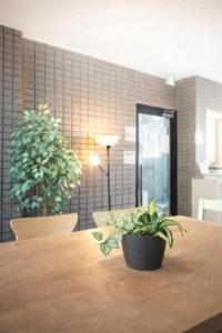 Namba Ambers Hostel 4405