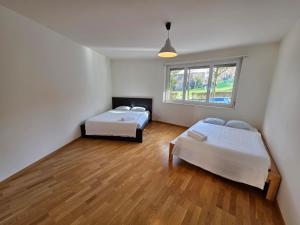 Large Flats, Zurich City Center - SCHB
