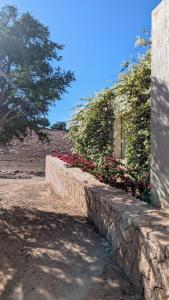 Villa Arkane Essaouira