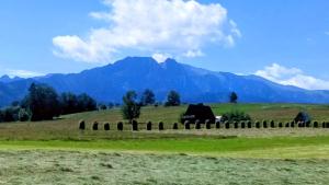 Schronisko Stary Młyn