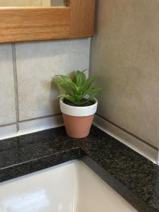 Margate Beach 2 Bedroom Apartment