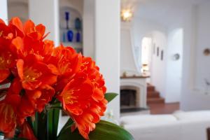 Casa Pimpinella Positano Mediterranean home