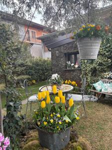 La Casetta dei Fiori sull Etna