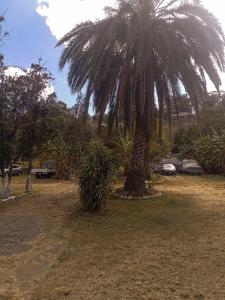 Casa Burgos Antigua Guatemala
