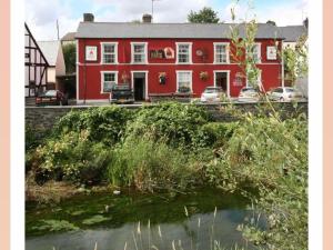 Y Llew Coch Tregaron