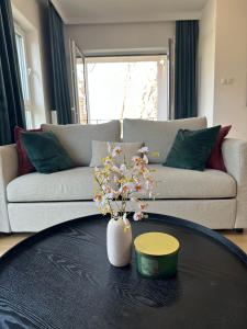 Cozy Bear Apartments with parking