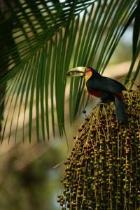 Ateliê Residência - Imersão Artística - Studio Residency - artistic Immersion