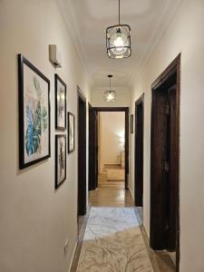 Elite 3 BR Apartment in Zayed