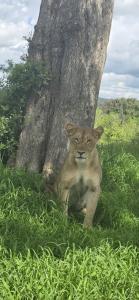 Villa Peace And Color