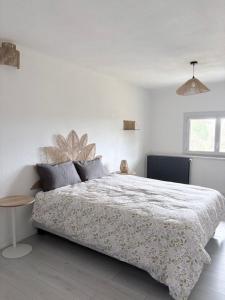 Lapparté Clairvalien de Marti