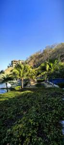 Oceanfront Designer Penthouse, Private Pool