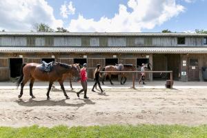 Appartements Les Ormes : photos des chambres