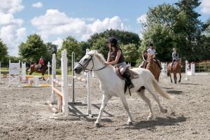 Appartements Les Ormes : photos des chambres