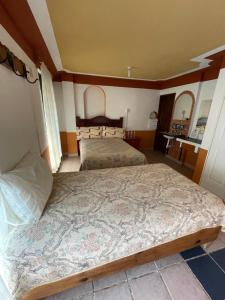 Hotel Plaza Macondo