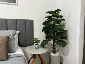 Amplo Studio Recem reformado a 5 min da praia