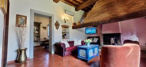 Podere Pagliaio 1 Historic Villa