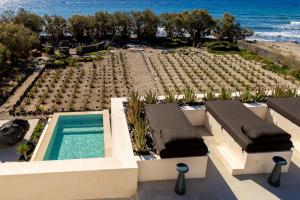 Exomitis1 Cellar & Sea Escape