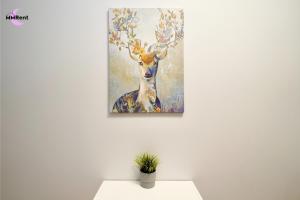 MMRent My Dear Studio