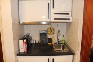 Comfortable Apartment on Elbe River