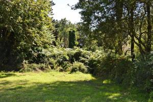 Résidence G25-pleumeur Bodou - Maison avec jardin à 800 m de la plage de Landrellec MAE-3724