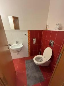 Domus Apartment