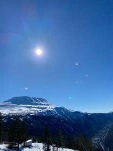 Leilighet på Gaustablikk