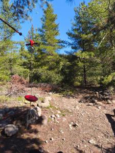 Nature & Relaxation Home in Los Queñes
