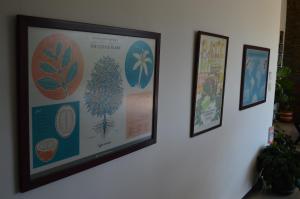 Finca La Coqueta Coffee Farm Stay near Filandia