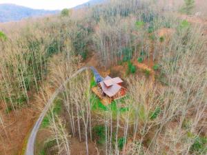 Sophies Choice Secluded Luxury Log Cabin, Hot Tub, Pool Table, Fire Pit, Close to Town