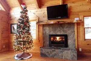 Sophies Choice Secluded Luxury Log Cabin, Hot Tub, Pool Table, Fire Pit, Close to Town