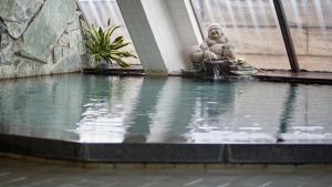 Yamaga Onsen Sumi