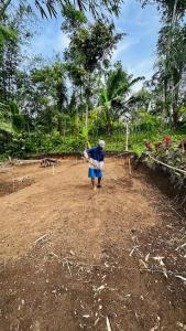 Lombok Glamping