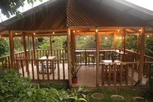 Finca Kapok tree