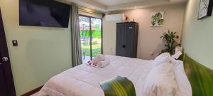 Arenal Jendrik house