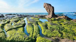 Phong Dung Beach Hotel Phan Ri Cua