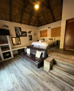 Mabalingwe Nature Reserve - Elephant Echo Lodge 259