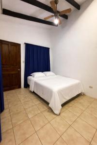 Jungle Oasis Tamarindo