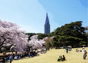 -Higashi-Shinjuku Terrace- Great location 8 minutes on foot from Higashi-Shinjuku Station and 1 stop from Shinjuku Station! Accommodates up to 11 people Wi-Fi available Shibuya, Asakusa, Ikebukuro