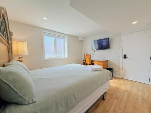Cozy Rooms in Bright Walkout Suite - Newly Renovated in 2026